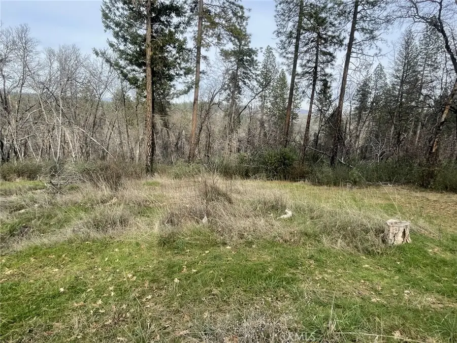 998 Encina Grande, Berry Creek, CA 95916 - #3