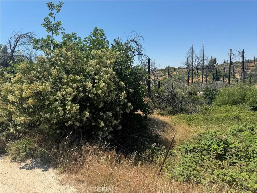 0 Sierra View, Berry Creek, CA 95916 - #3