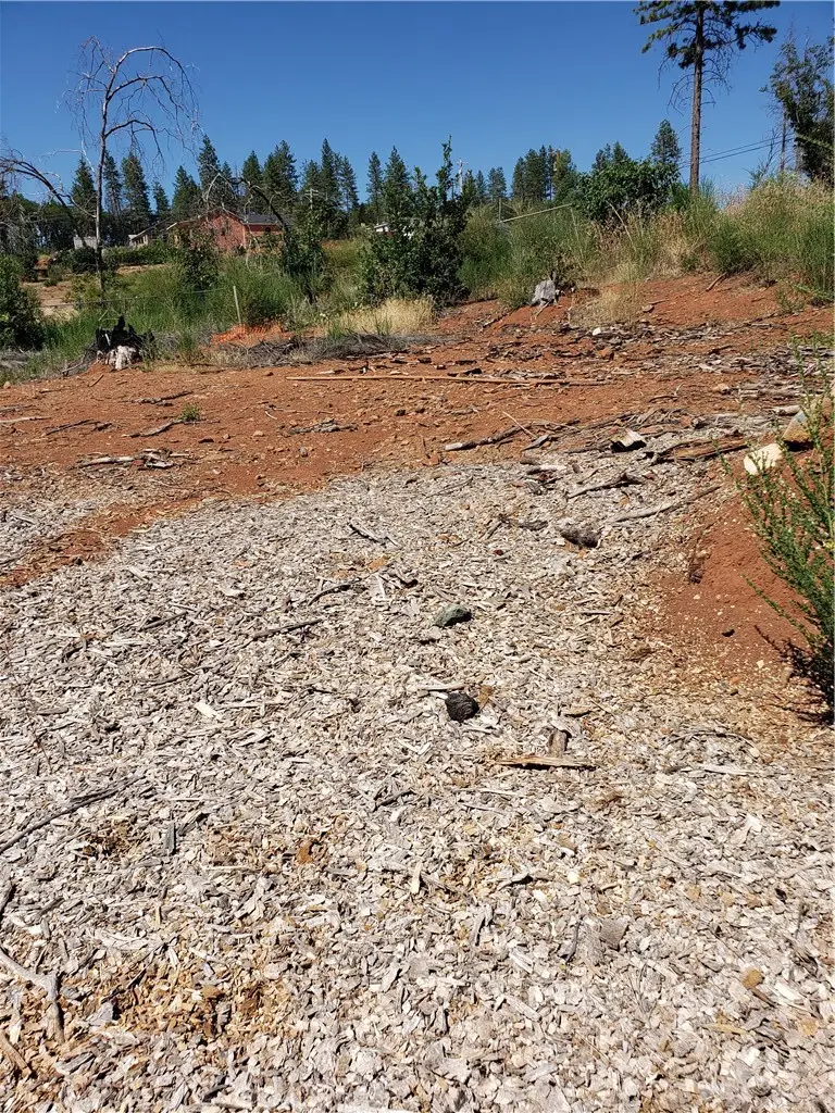 1591 Grey Squirrel, Paradise, CA 95969 - Image #1