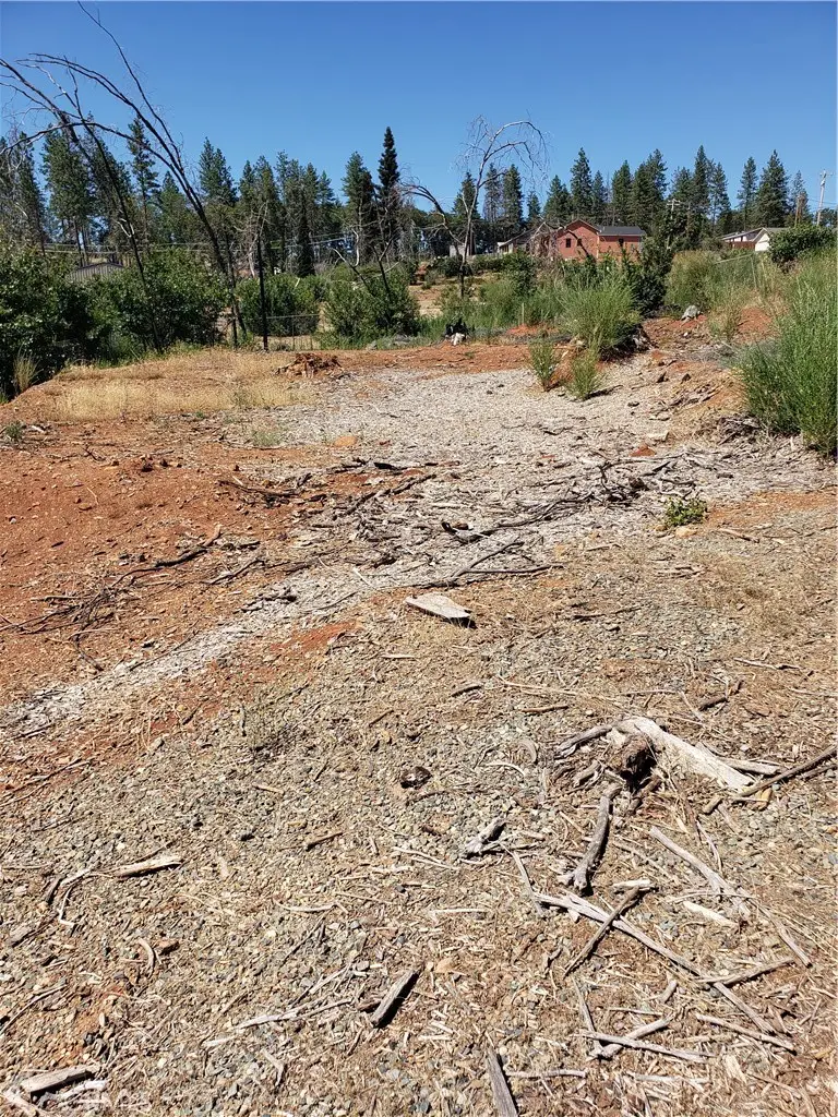 1591 Grey Squirrel, Paradise, CA 95969 - Image #3