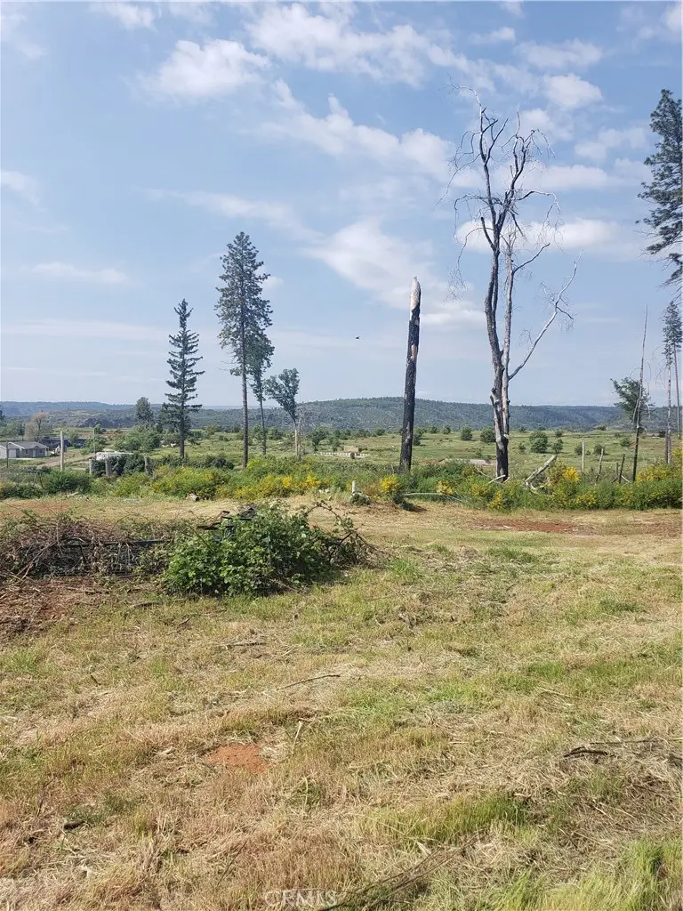 6378 Murray Lane, Paradise, CA 95969 - Image #3