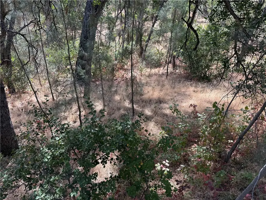 16305 Hillcrest Drive, Corning, CA 96021 - #2