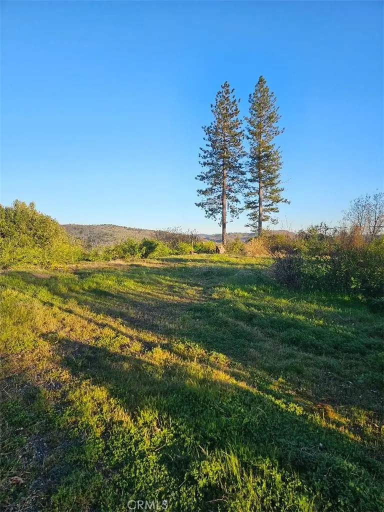 13554 Skyway, Magalia, CA 95954 - #1