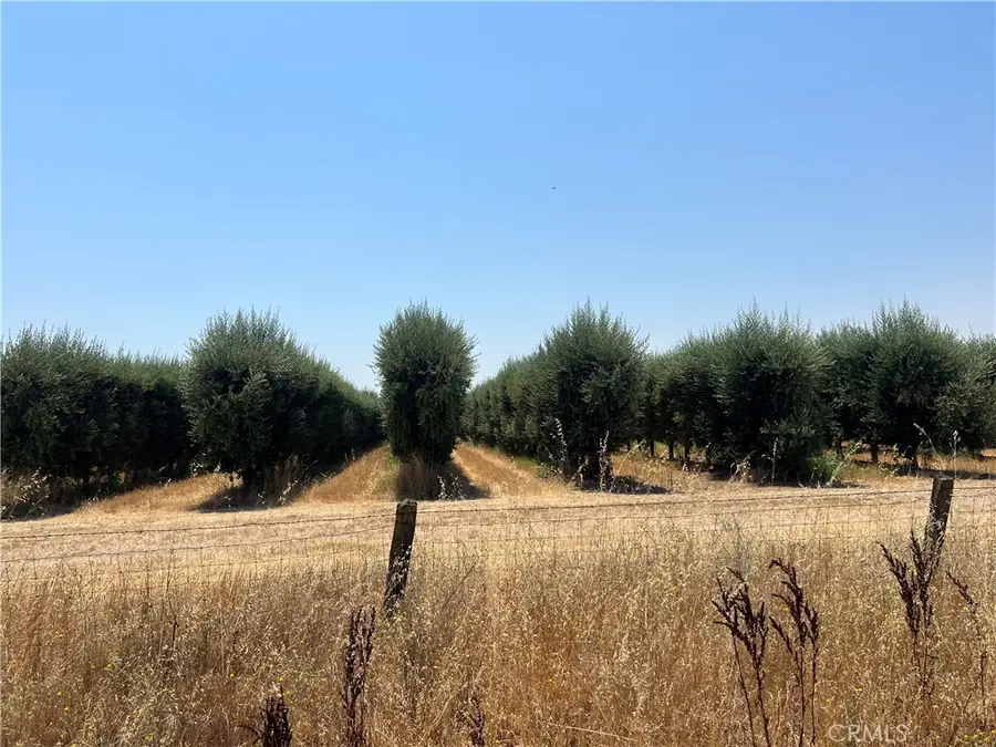 0 County Road D, Orland, CA 95963 - #2