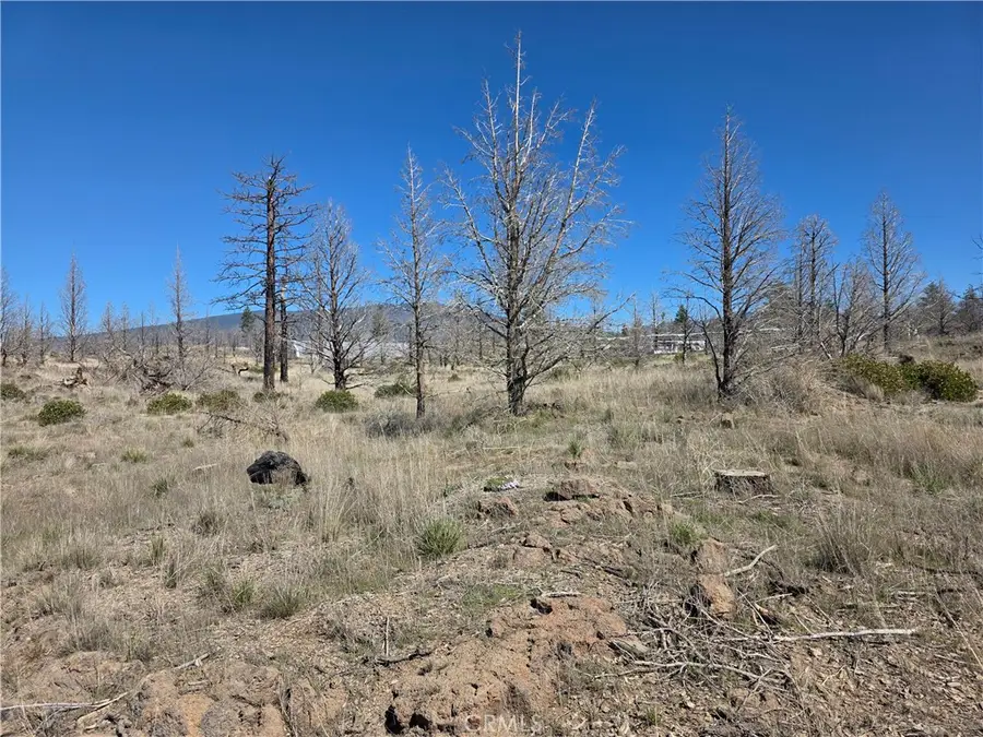 34 Blk 43 Lot 34 Heinzelman Dr., Montague, CA 96064 - #2