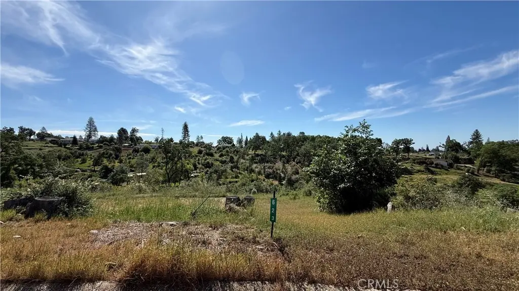 623 Circlewood Drive, Paradise, CA 95969 - #1