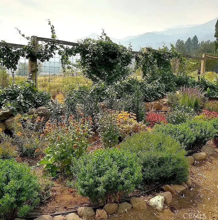 42528 County Road 1, Surprise Valley, CA 96115 - #3