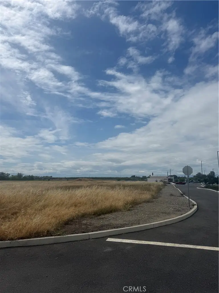 0 Cortina Court, Orland, CA 95963 - #3