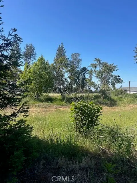 802 Windsor, Paradise, CA 95969 - #2