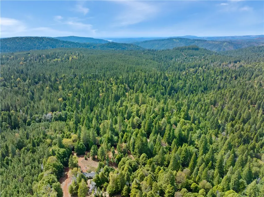 63 Binet Road, Clipper Mills, CA 95930 - #3