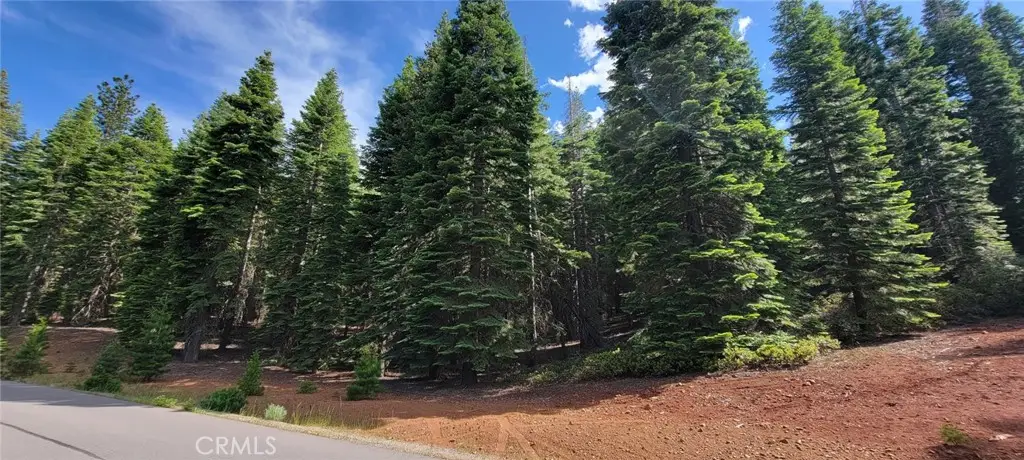 233 Snowy Peak, Lake Almanor, CA 96137 - #1