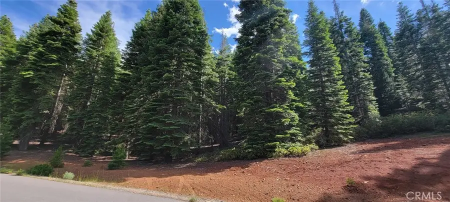 233 Snowy Peak, Lake Almanor, CA 96137 - #2