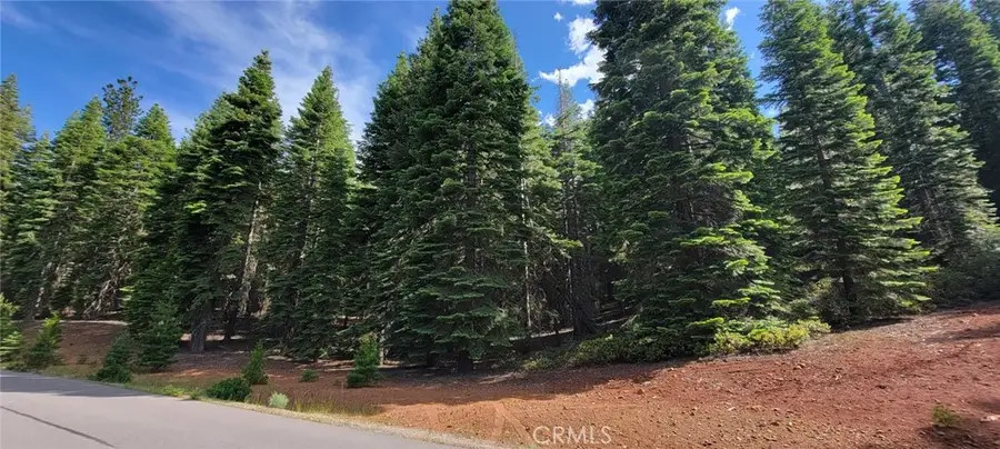 233 Snowy Peak, Lake Almanor, CA 96137 - #3