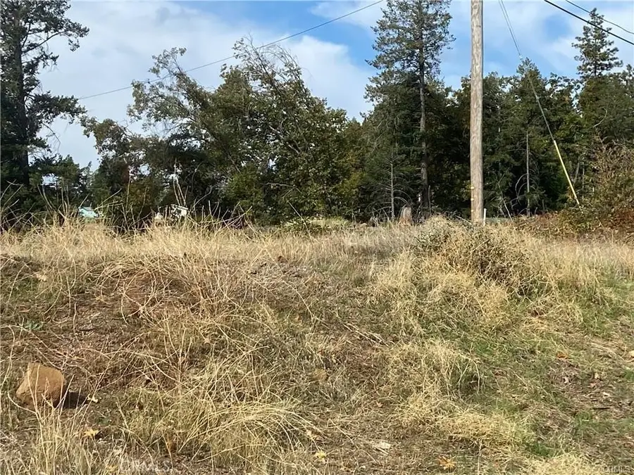 13690 Andover, Magalia, CA 95954 - #3