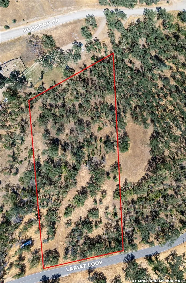 16398 Lariat, Corning, CA 96021 - #1