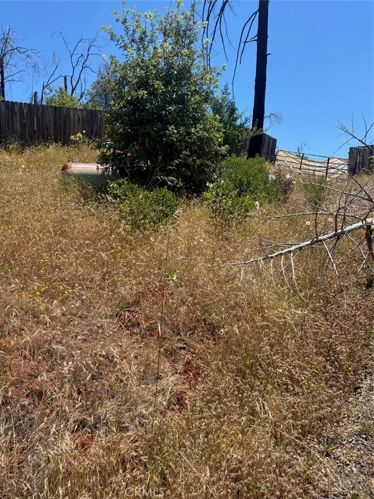 201 Pine Tree, Berry Creek, CA 95916 - #3