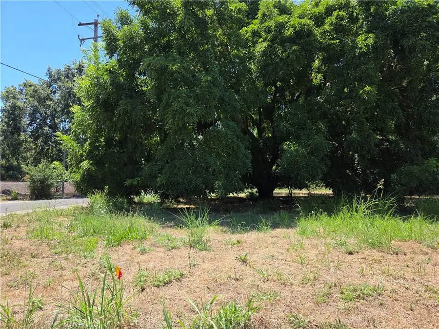0 N. B Street, Tehama, CA 96090 - #2