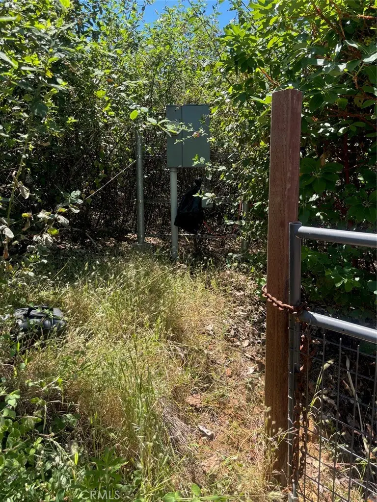 31 Rip Van, Berry Creek, CA 95916 - #3