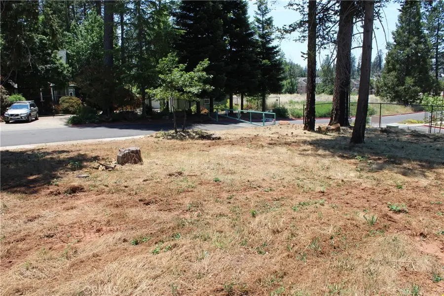 1645 Puddle Duck Court, Paradise, CA 95969 - #3