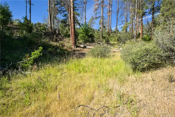 1 Duzel Creek Road, Fort Jones, CA 96032