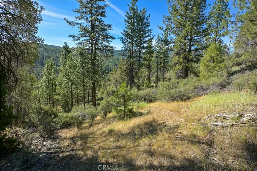 1 Duzel Creek Road, Fort Jones, CA 96032 - #2