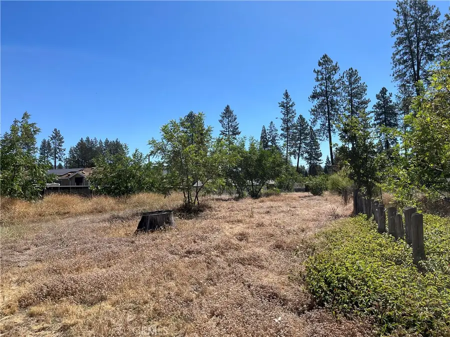1387 Wagstaff Road, Paradise, CA 95969 - #3