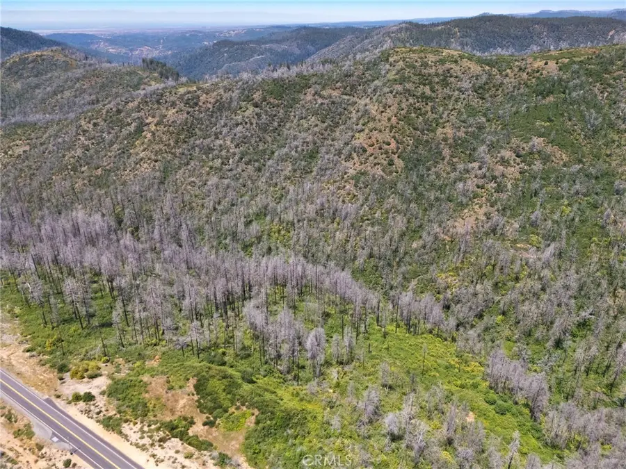 0 Stephens Ridge Road, Berry Creek, CA 95916 - #2