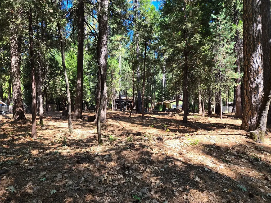 0 Tikker Ln, Magalia, CA 95954 - #1