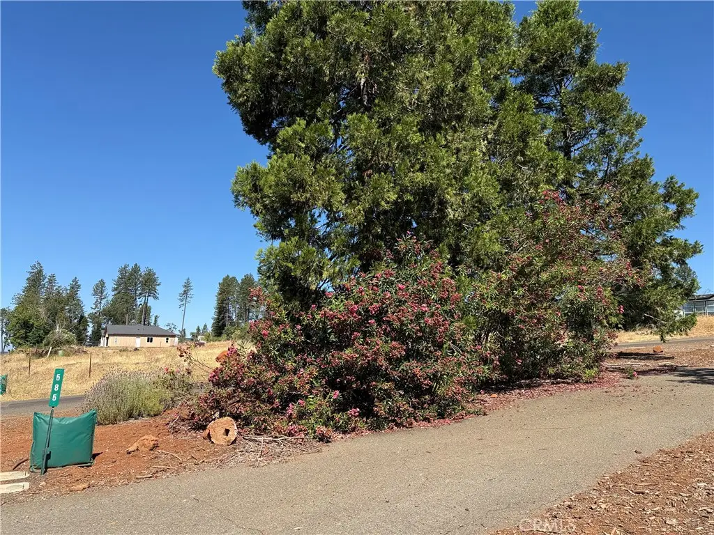 585 Sunset Drive, Paradise, CA 95969 - #1
