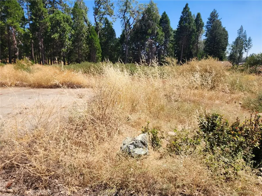 13744 W Park, Magalia, CA 95954 - #3