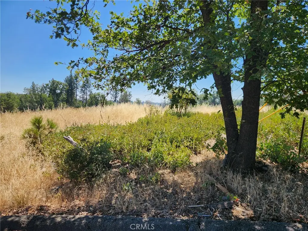 13602 Andover, Magalia, CA 95954 - #1