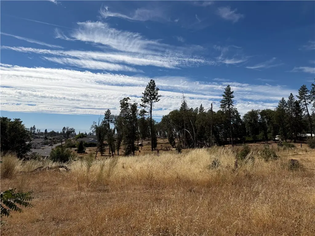 7809 Skyway, Paradise, CA 95969 - #1