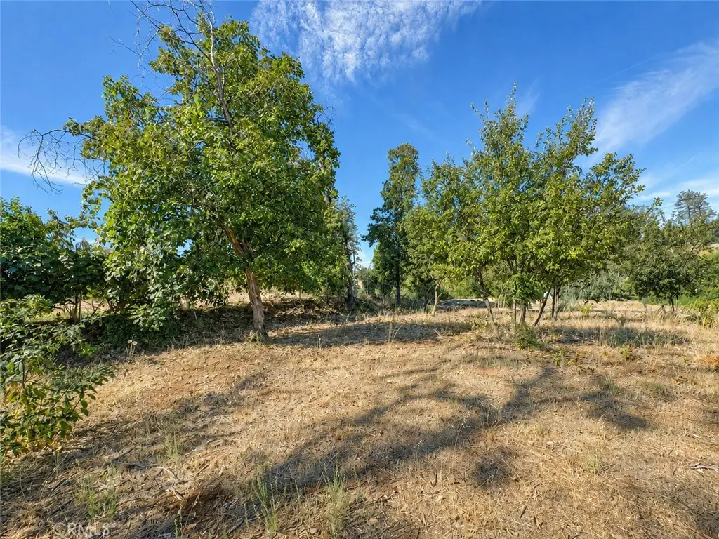 5465 Foster, Paradise, CA 95969 - #1
