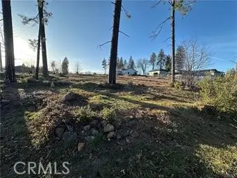 1805 Stark Lane, Paradise, CA 95969 - #2