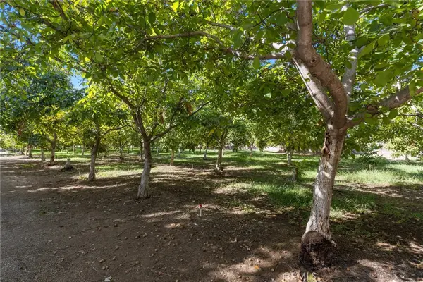 3720 Cosby Avenue, Chico, CA 95928