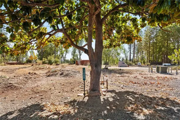 1488 Saint Peters Court, Paradise, CA 95969