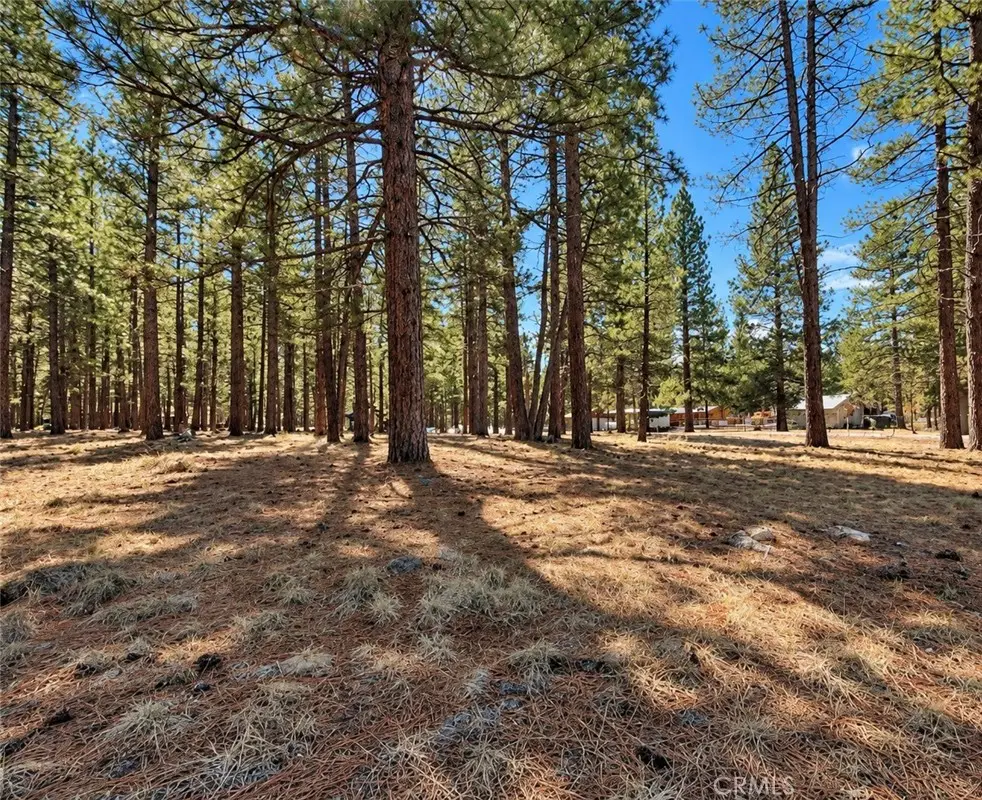 687 650 Maple Way, Susanville, CA 96130 - #1
