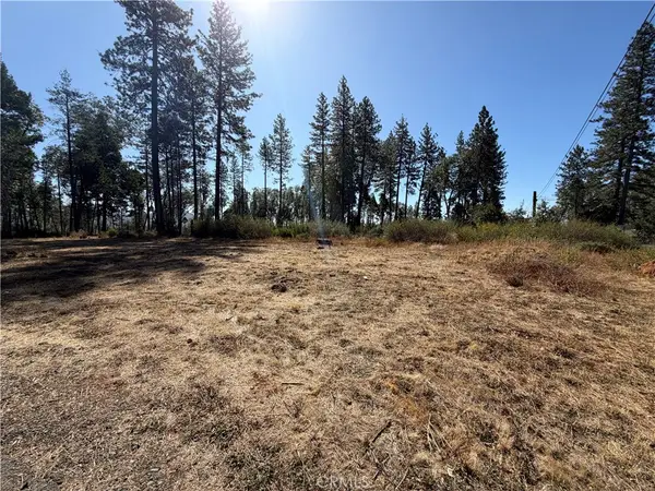 14318 Skyway, Magalia, CA 95954