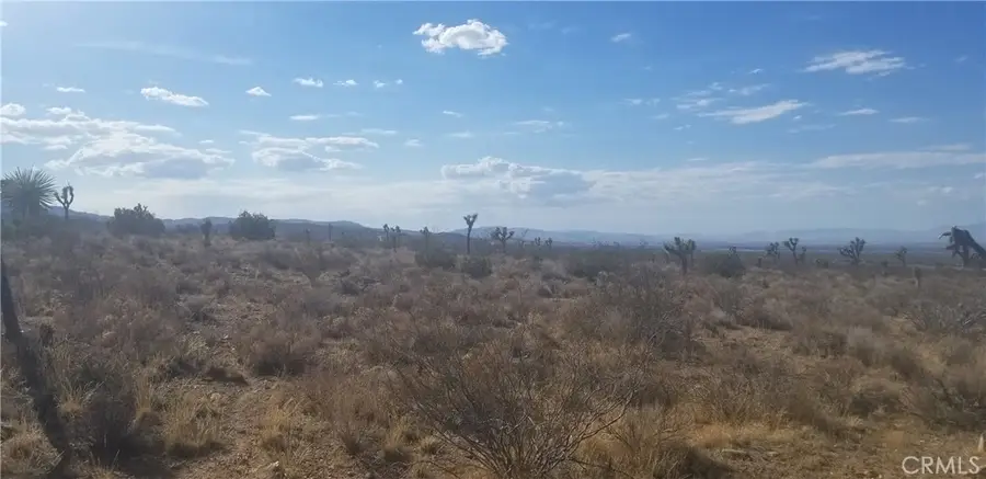 0 Vac/175 Ste/vic Ft Tejon Road, Llano, CA 93544 - #3