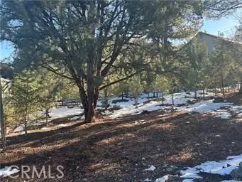 1604 Linden Drive, Pine Mountain Club, CA 93222 - Image #1