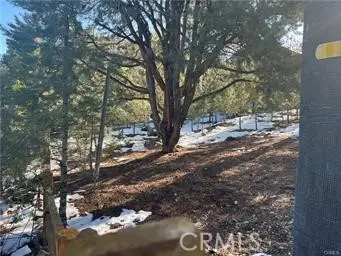 1604 Linden Drive, Pine Mountain Club, CA 93222 - Image #3