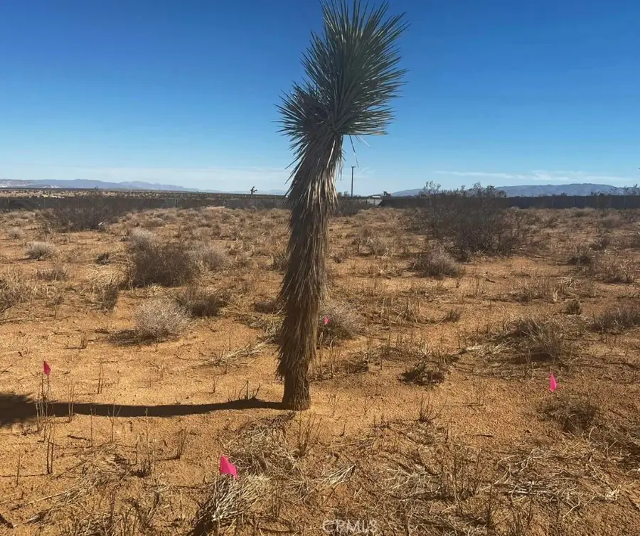 424 Ducor Avenue, Landers, CA 92285 - #2