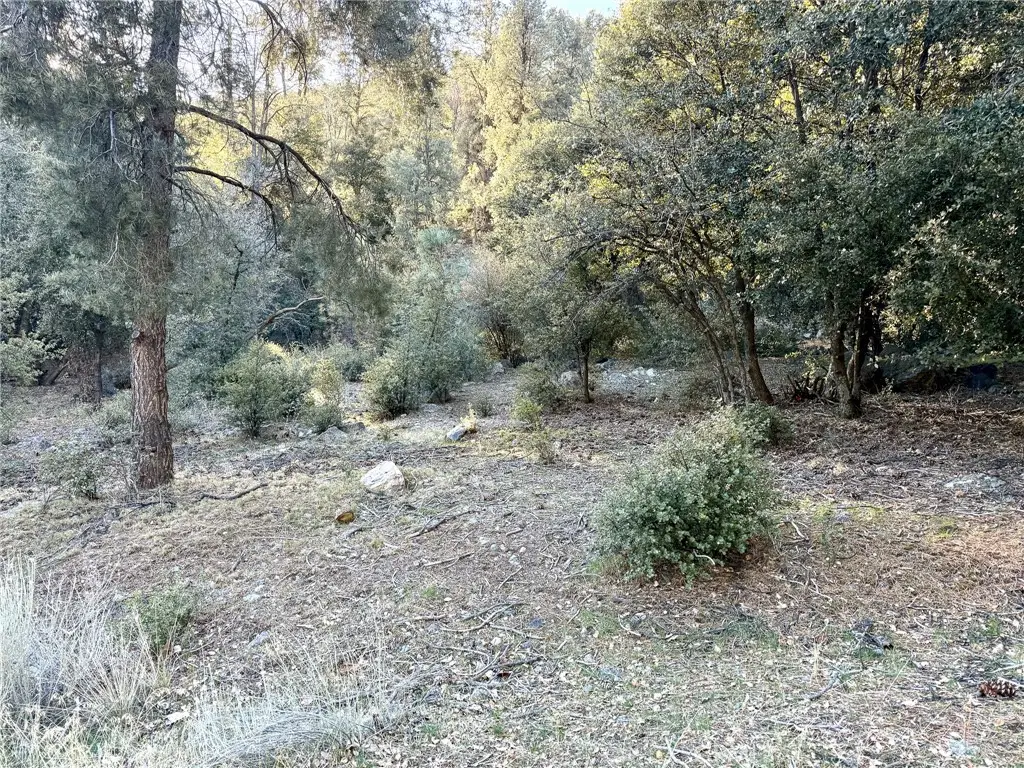 15718 Plum Way, Pine Mountain Club, CA 93222 - #1