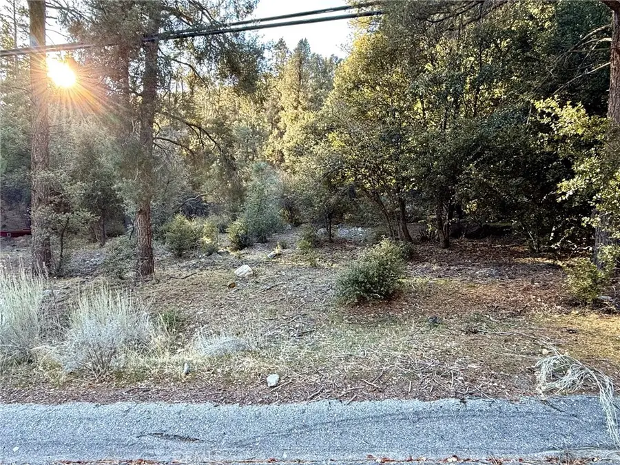 15718 Plum Way, Pine Mountain Club, CA 93222 - #2