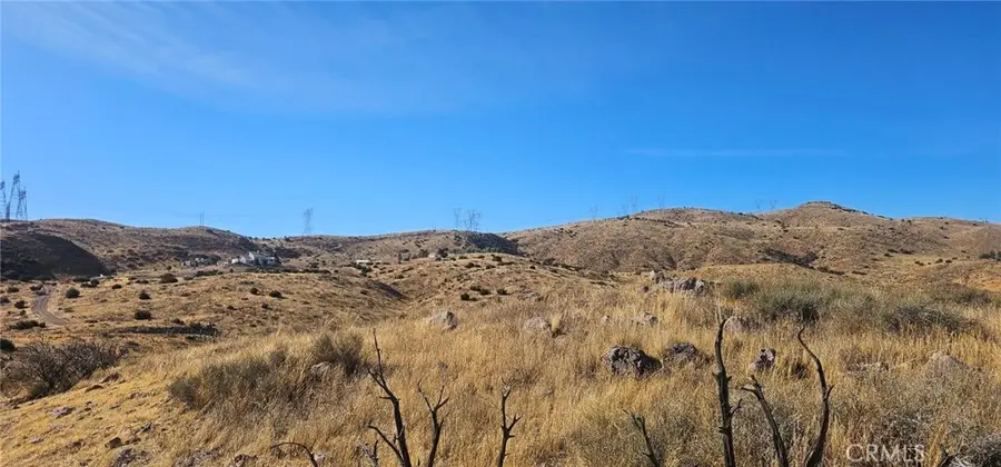 0 Richter Lane, Acton, CA 93510 - #2