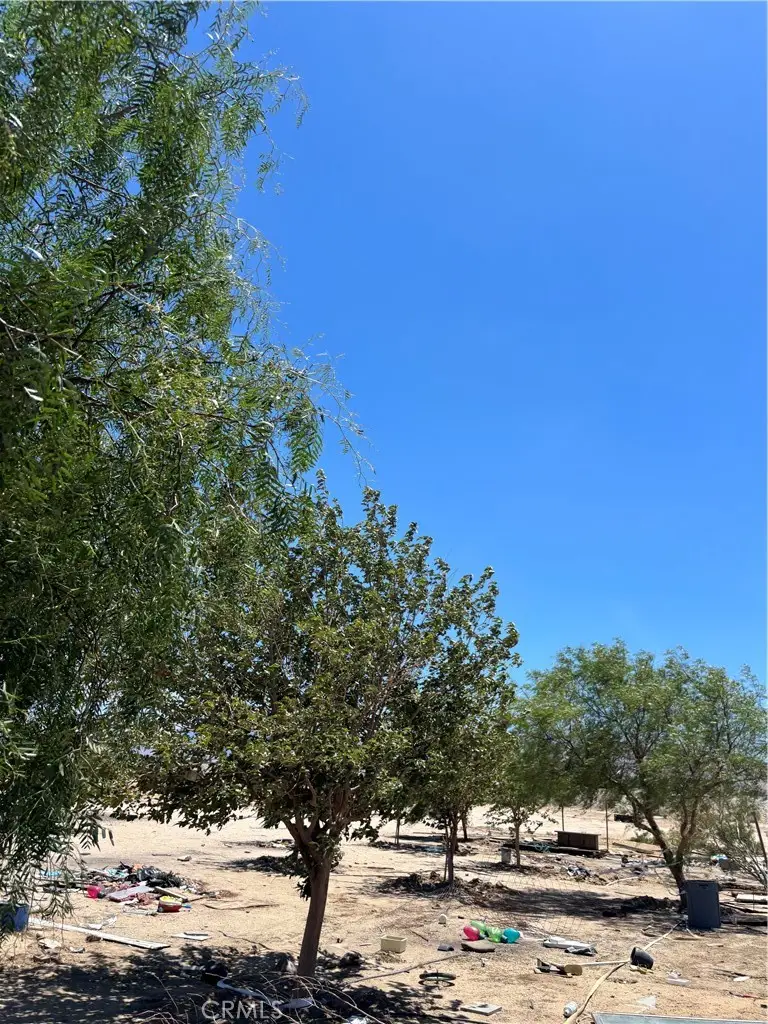 0 E Avenue S10, Littlerock, CA 93543 - Image #2