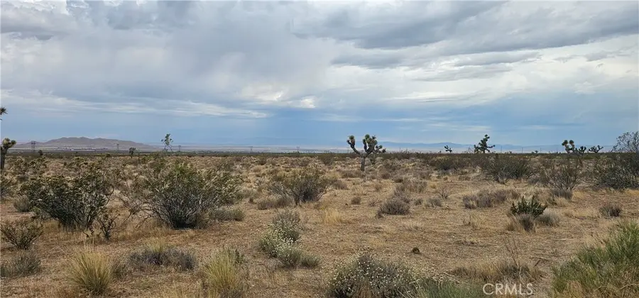 0 116th Street W, Rosamond, CA 93505 - #3