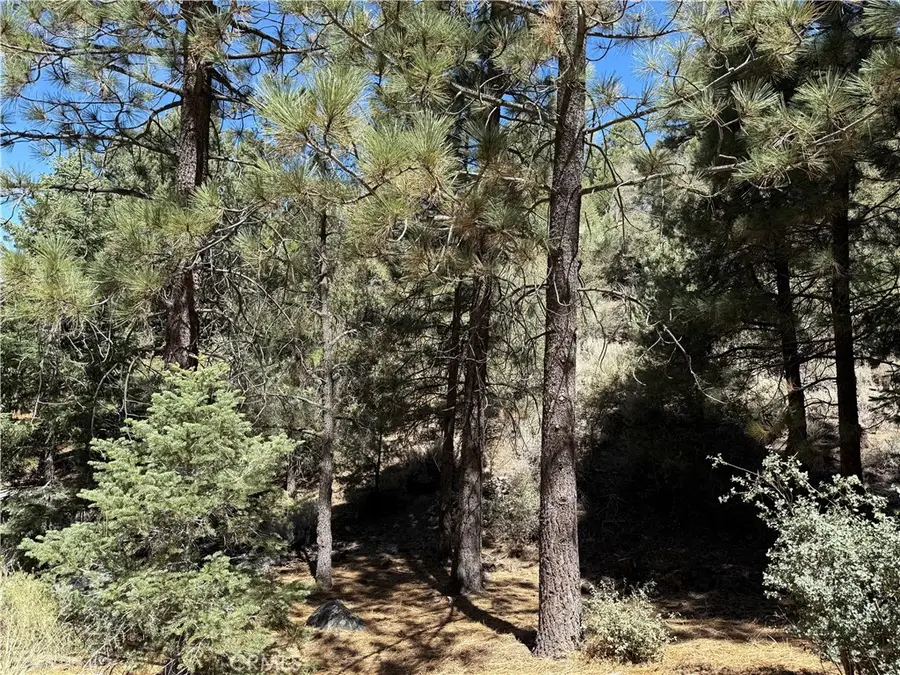 1420 Linden Drive, Pine Mountain Club, CA 93222 - Image #3