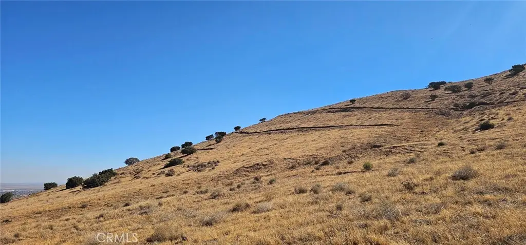 0 Oreo Lane, Acton, CA 93510 - Image #1