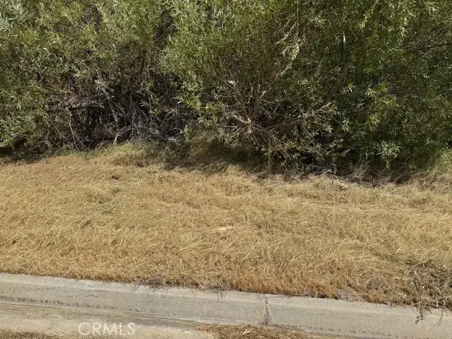 1 Vac/kiptree Dr/vic Deerbank, Elizabeth Lake, CA 93532 - Image #3